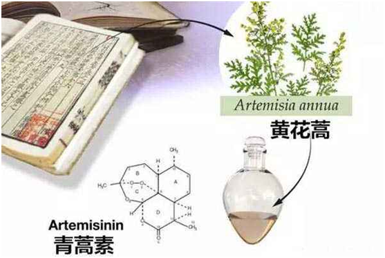 广发体育官网：向中医药看齐，与世界共享中医药文化(图1)